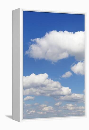 Cumulus Clouds, Blue Sky, Summer, Germany, Europe-Markus-Framed Premier Image Canvas