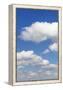 Cumulus Clouds, Blue Sky, Summer, Germany, Europe-Markus-Framed Premier Image Canvas