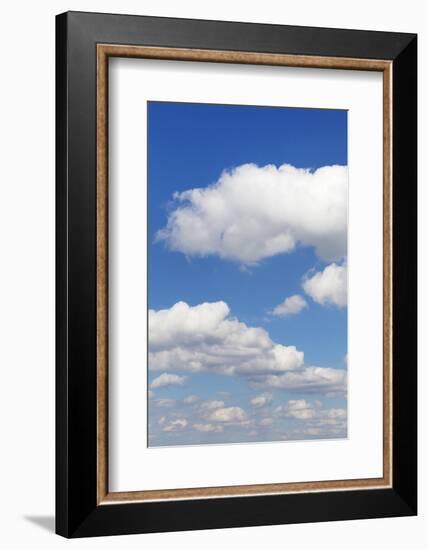 Cumulus Clouds, Blue Sky, Summer, Germany, Europe-Markus-Framed Photographic Print