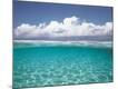 Premium Photographic Print