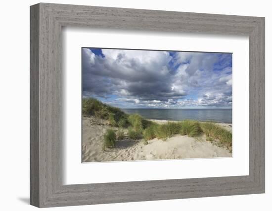 Cumulus Clouds over the Dunes of the Western Beach of Darss Peninsula-Uwe Steffens-Framed Photographic Print