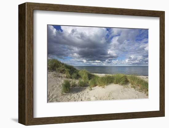 Cumulus Clouds over the Dunes of the Western Beach of Darss Peninsula-Uwe Steffens-Framed Photographic Print