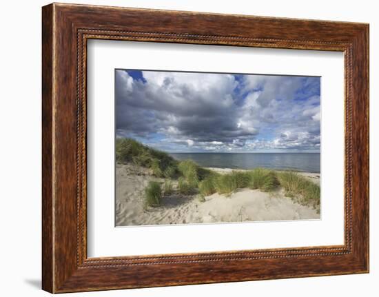 Cumulus Clouds over the Dunes of the Western Beach of Darss Peninsula-Uwe Steffens-Framed Photographic Print