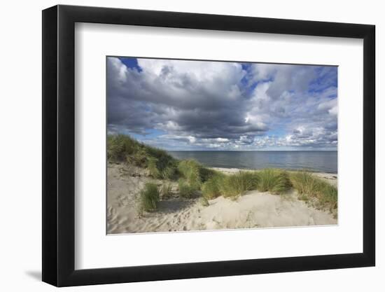 Cumulus Clouds over the Dunes of the Western Beach of Darss Peninsula-Uwe Steffens-Framed Photographic Print