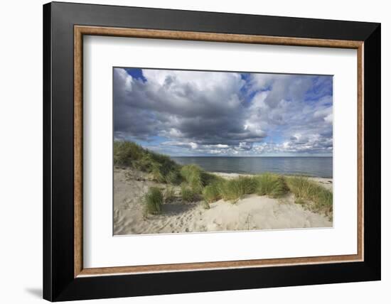 Cumulus Clouds over the Dunes of the Western Beach of Darss Peninsula-Uwe Steffens-Framed Photographic Print