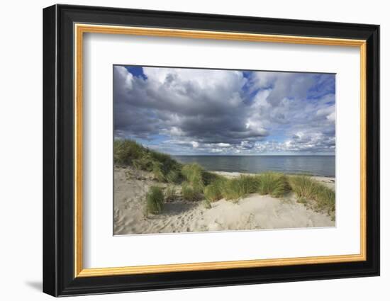 Cumulus Clouds over the Dunes of the Western Beach of Darss Peninsula-Uwe Steffens-Framed Photographic Print