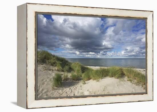 Cumulus Clouds over the Dunes of the Western Beach of Darss Peninsula-Uwe Steffens-Framed Premier Image Canvas