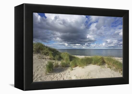 Cumulus Clouds over the Dunes of the Western Beach of Darss Peninsula-Uwe Steffens-Framed Premier Image Canvas