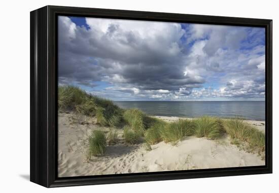 Cumulus Clouds over the Dunes of the Western Beach of Darss Peninsula-Uwe Steffens-Framed Premier Image Canvas