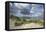 Cumulus Clouds over the Dunes of the Western Beach of Darss Peninsula-Uwe Steffens-Framed Premier Image Canvas