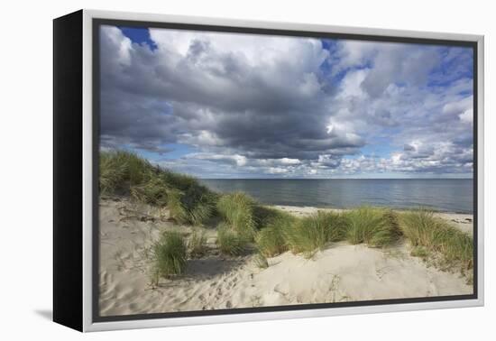 Cumulus Clouds over the Dunes of the Western Beach of Darss Peninsula-Uwe Steffens-Framed Premier Image Canvas