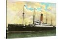 Stretched Canvas Print