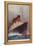 Cunard Liner RMS Mauretania-null-Framed Premier Image Canvas