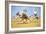 Cup and Ball-the camel's favourite game', 1908-Lance Thackeray-Framed Giclee Print