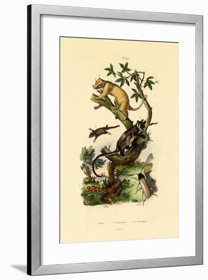 Cup Morel, 1833-39-null-Framed Giclee Print