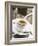 Cup of Espresso on Table in Cafe-null-Framed Photographic Print