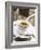 Cup of Espresso on Table in Cafe-null-Framed Photographic Print