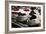 Cupcakes I-Erin Berzel-Framed Photographic Print