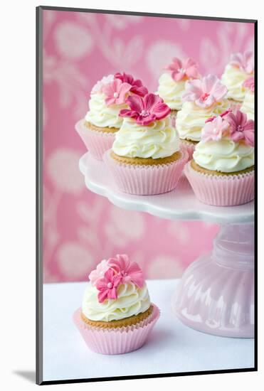 Cupcakes-Ruth Black-Mounted Photographic Print