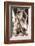 Cupid and Psyche, 1796-Antonio Canova-Framed Premium Giclee Print