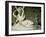 Cupid and Psyche, 1796-Antonio Canova-Framed Giclee Print