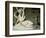 Cupid and Psyche, 1796-Antonio Canova-Framed Giclee Print