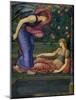 Cupid and Psyche, 1865-87-Edward Burne-Jones-Mounted Giclee Print