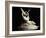 Cupid and Psyche by Antonio Canova-null-Framed Photographic Print