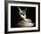 Cupid and Psyche by Antonio Canova-null-Framed Photographic Print