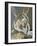 Cupid and Psyche-Antonio Canova-Framed Giclee Print