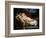 Cupid and Psyche-Jacques-Louis David-Framed Giclee Print