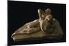 Cupid and Psyche-Antonio Canova-Mounted Giclee Print