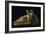 Cupid and Psyche-Antonio Canova-Framed Giclee Print