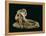 Cupid and Psyche-Antonio Canova-Framed Premier Image Canvas