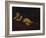 Cupid Asleep-Guido Reni-Framed Giclee Print