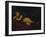 Cupid Asleep-Guido Reni-Framed Giclee Print