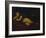 Cupid Asleep-Guido Reni-Framed Giclee Print