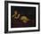 Cupid Asleep-Guido Reni-Framed Giclee Print