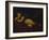 Cupid Asleep-Guido Reni-Framed Giclee Print