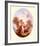 Cupid Between Roses-Jean-Honoré Fragonard-Framed Art Print