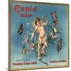 Cupid Brand - Fillmore, California - Citrus Crate Label-Lantern Press-Mounted Art Print