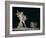 Cupid Led by Butterflies-Michelangelo Maestri-Framed Giclee Print