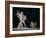 Cupid Led by Butterflies-Michelangelo Maestri-Framed Giclee Print