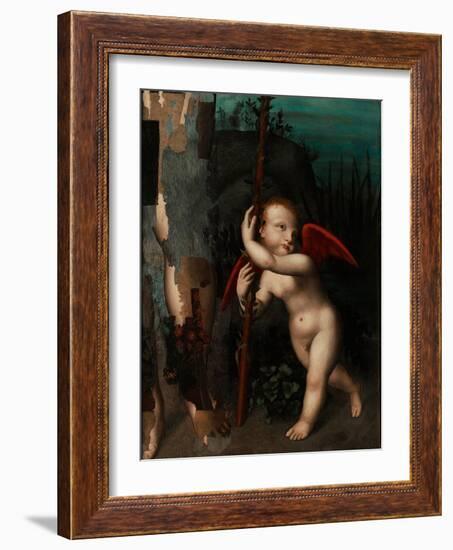 Cupid with a Myrtle, before 1593-Aurelio Luini-Framed Giclee Print