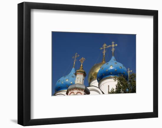 Cupolas of Assumption Cathedral at Trinity Lavra of St. Sergius, Sergiyev Posad, Moskow, Russia-null-Framed Art Print