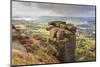 Curbar Edge, Summer Heather, View Towards Chatsworth, Peak District National Park, Derbyshire-Eleanor Scriven-Mounted Photographic Print