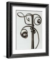 Curcubita, Pumpkin Tendril-Karl Blossfeldt-Framed Art Print
