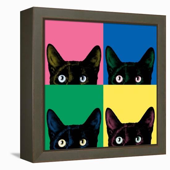 Curiosity Pop-Jon Bertelli-Framed Stretched Canvas