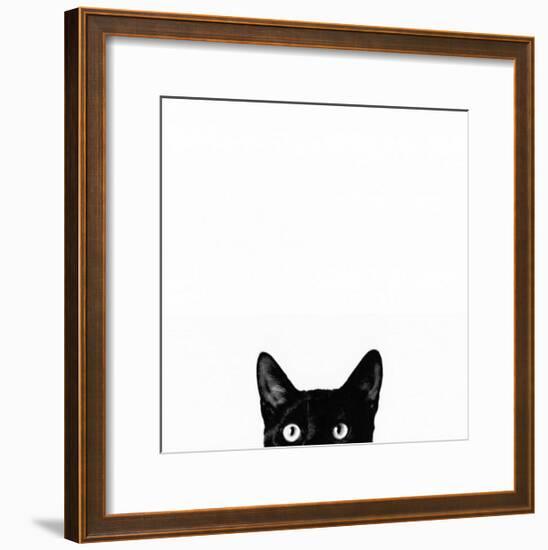 Curiosity-Jon Bertelli-Framed Art Print