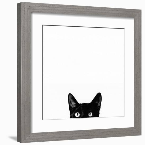 Curiosity-Jon Bertelli-Framed Art Print